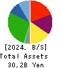 SAKURA internet Inc. Balance Sheet 2024年3月期