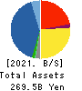 MACNICA FUJI ELECTRONICS HOLDINGS,INC. Balance Sheet 2021年Mar期 MACNICA FUJI ELECTRONICS HOLDINGS,INC. Balance Sheet 2021年3月期