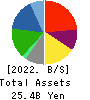 Sanoyas Holdings Corporation Balance Sheet 2022年3月期