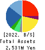 HYUGA PRIMARY CARE Co.,Ltd. Balance Sheet 2022年Mar期 HYUGA PRIMARY CARE Co.,Ltd. Balance Sheet 2022年3月期