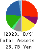 Sanoyas Holdings Corporation Balance Sheet 2023年3月期