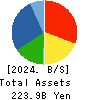 Japan Display Inc. Balance Sheet 2024年Mar期 Japan Display Inc. Balance Sheet 2024年3月期