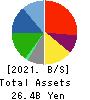Sanoyas Holdings Corporation Balance Sheet 2021年3月期