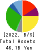 The Monogatari Corporation Balance Sheet 2022年Jun期 The Monogatari Corporation Balance Sheet 2022年6月期