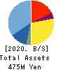 AViC Co.,Ltd. Balance Sheet 2020年9月期