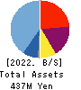 Agile Media Network Inc. Balance Sheet 2022年12月期