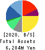 NJ Holdings Inc. Balance Sheet 2020年6月期