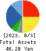 Laox Holdings CO.,LTD. Balance Sheet 2023年12月期