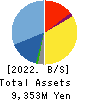 ANYCOLOR Inc. Balance Sheet 2022年4月期