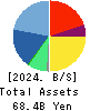 UT Group Co.,Ltd. Balance Sheet 2024年Mar期 UT Group Co.,Ltd. Balance Sheet 2024年3月期