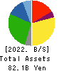 WARABEYA NICHIYO HOLDINGS CO.,LTD. Balance Sheet 2022年Feb期 WARABEYA NICHIYO HOLDINGS CO.,LTD. Balance Sheet 2022年2月期
