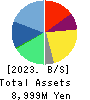 geechs inc. Balance Sheet 2023年3月期
