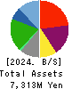 VIA Holdings,Inc. Balance Sheet 2024年Mar期 VIA Holdings,Inc. Balance Sheet 2024年3月期