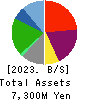 VIA Holdings,Inc. Balance Sheet 2023年Mar期 VIA Holdings,Inc. Balance Sheet 2023年3月期