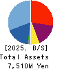 VisasQ Inc. Balance Sheet 2025年Feb期 VisasQ Inc. Balance Sheet 2025年2月期