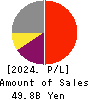 Ai Holdings Corporation Profit and Loss Account 2024年6月期