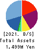 FLECT Co.,Ltd. Balance Sheet 2021年Mar期 FLECT Co.,Ltd. Balance Sheet 2021年3月期