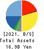 TENPOS HOLDINGS Co.,Ltd. Balance Sheet 2021年Apr期 TENPOS HOLDINGS Co.,Ltd. Balance Sheet 2021年4月期