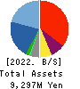 YAMANO HOLDINGS CORPORATION Balance Sheet 2022年3月期