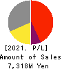 CVS Bay Area Inc. Profit and Loss Account 2021年2月期