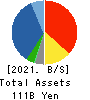 Central Forest Group, Inc. Balance Sheet 2021年12月期
