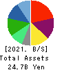 Pharmarise Holdings Corporation Balance Sheet 2021年May期 Pharmarise Holdings Corporation Balance Sheet 2021年5月期