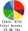 Sanoyas Holdings Corporation Balance Sheet 2022年Mar期 Sanoyas Holdings Corporation Balance Sheet 2022年3月期