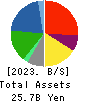 Sanoyas Holdings Corporation Balance Sheet 2023年Mar期 Sanoyas Holdings Corporation Balance Sheet 2023年3月期