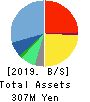 Howtelevision,Inc. Balance Sheet 2019年Jan期 Howtelevision,Inc. Balance Sheet 2019年1月期