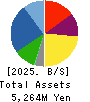 MUROMACHI CHEMICALS INC. Balance Sheet 2025年May期 MUROMACHI CHEMICALS INC. Balance Sheet 2025年5月期