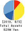 TDSE Inc. Balance Sheet 2018年Mar期 TDSE Inc. Balance Sheet 2018年3月期