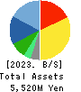 UP GARAGE GROUP Co., Ltd. Balance Sheet 2023年Mar期 UP GARAGE GROUP Co., Ltd. Balance Sheet 2023年3月期