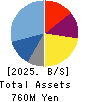 AUN CONSULTING,Inc. Balance Sheet 2025年May期 AUN CONSULTING,Inc. Balance Sheet 2025年5月期