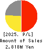 Voltage Incorporation Profit and Loss Account 2025年Jun期 Voltage Incorporation Profit and Loss Account 2025年6月期