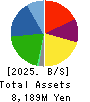 DM Solutions Co.,Ltd Balance Sheet 2025年Mar期 DM Solutions Co.,Ltd Balance Sheet 2025年3月期