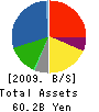 Nosan Corporation Balance Sheet 2009年3月期