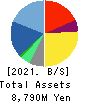 Startia Holdings,Inc. Balance Sheet 2021年3月期