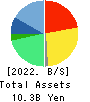 Transaction Media Networks Inc. Balance Sheet 2022年Mar期 Transaction Media Networks Inc. Balance Sheet 2022年3月期