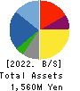 TB GROUP INC. Balance Sheet 2022年3月期