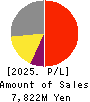 CVS Bay Area Inc. Profit and Loss Account 2025年2月期