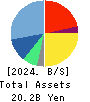 Macbee Planet,Inc. Balance Sheet 2024年4月期