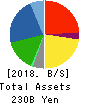 KAMEI CORPORATION Balance Sheet 2018年Mar期 KAMEI CORPORATION Balance Sheet 2018年3月期