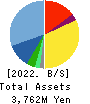 Fabrica Holdings Co., Ltd. Balance Sheet 2022年Mar期 Fabrica Holdings Co., Ltd. Balance Sheet 2022年3月期