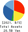 DVx Inc. Balance Sheet 2021年Mar期 DVx Inc. Balance Sheet 2021年3月期