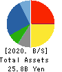 CROSS PLUS INC. Balance Sheet 2020年1月期