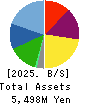 Striders Corporation Balance Sheet 2025年Mar期 Striders Corporation Balance Sheet 2025年3月期