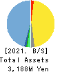 Japan Data Science Consortium Co.Ltd. Balance Sheet 2021年Jun期 Japan Data Science Consortium Co.Ltd. Balance Sheet 2021年6月期