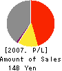 IDA TECHNOS Corporation Profit and Loss Account 2007年6月期