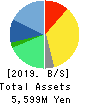 SMN Corporation Balance Sheet 2019年3月期
