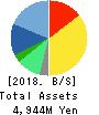 SMN Corporation Balance Sheet 2018年3月期